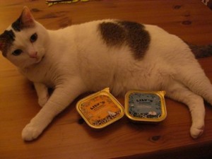 Karin with cat food from England 2