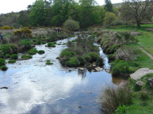 Dartmoor 9