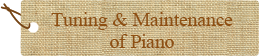 Tuning & Maintenance of Piano